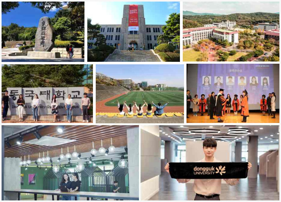 1+3韩国东国大学国际本科